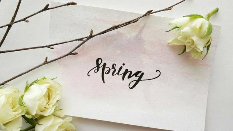 spring-diet