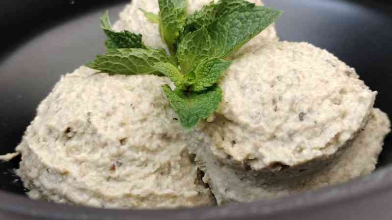 HUMMUS DI FAGIOLI VERDI MUNG ALLA MENTA